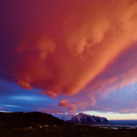 Eagle Panorama Lofoten