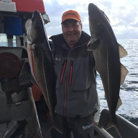 샬레 Eagle Panorama Lofoten Gravdal (Vestvagoy)