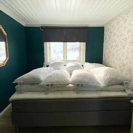 Eagle Panorama Lofoten *